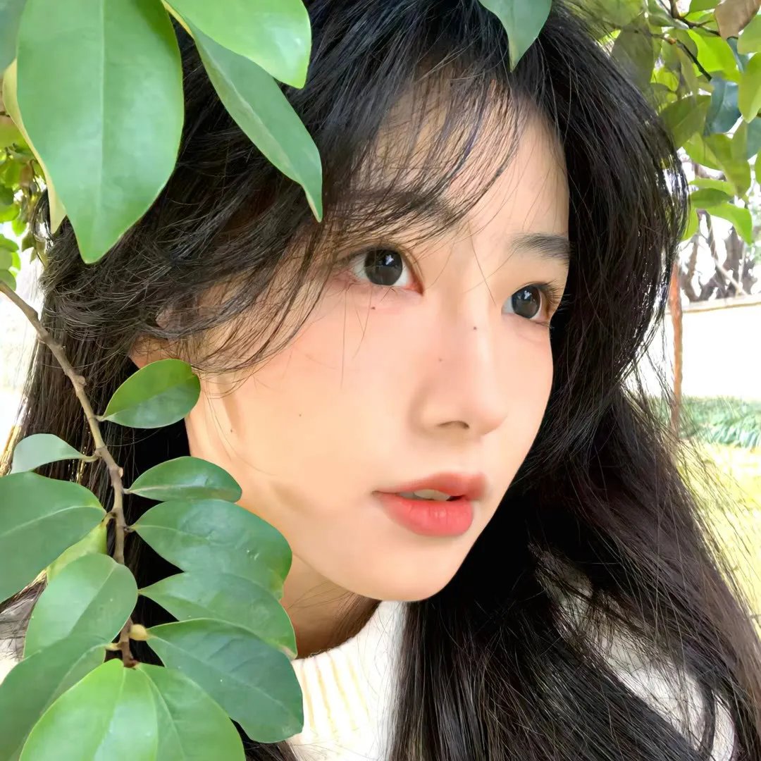 大王不高兴第二季